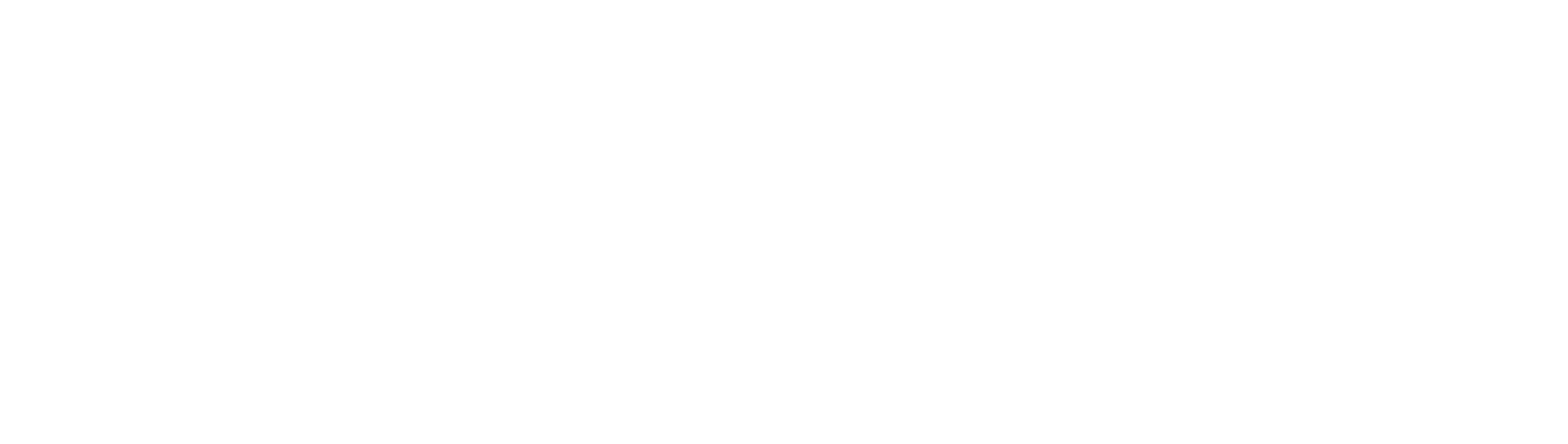 Nadia Spain logo